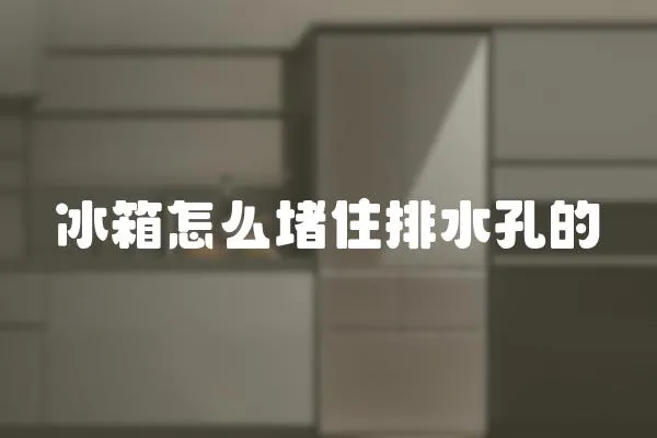冰箱怎么堵住排水孔的