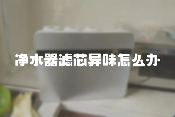 凈水器濾芯異味怎么辦