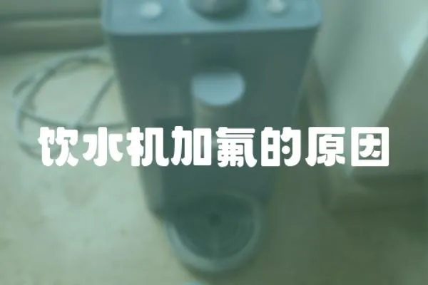 飲水機加氟的原因