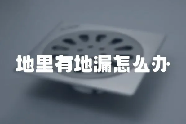 地里有地漏怎么辦