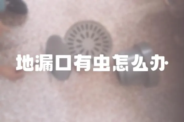 地漏口有蟲怎么辦
