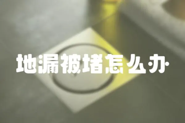 地漏被堵怎么辦