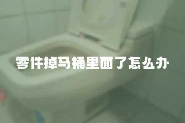 零件掉馬桶里面了怎么辦