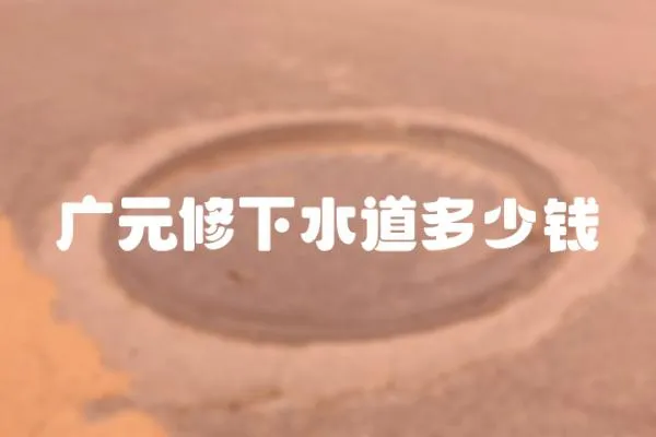 廣元修下水道多少錢