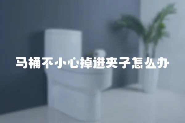 馬桶不小心掉進夾子怎么辦