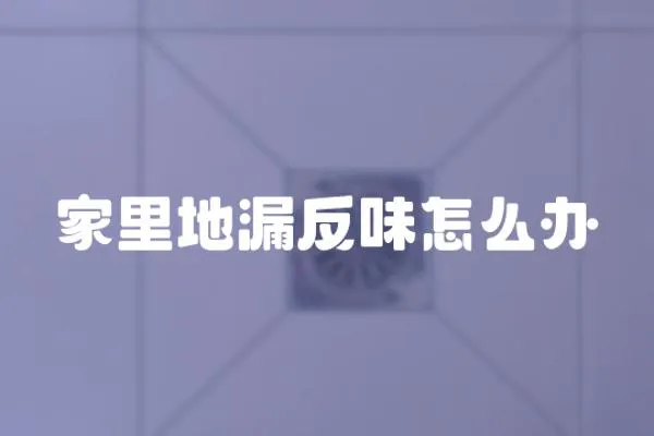 家里地漏反味怎么辦