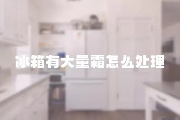 冰箱有大量霜怎么處理
