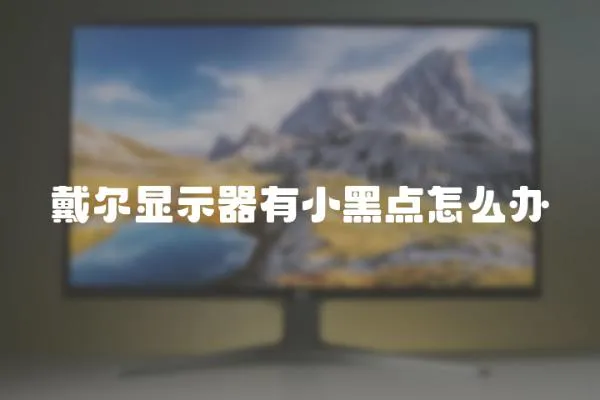 戴爾顯示器有小黑點怎么辦