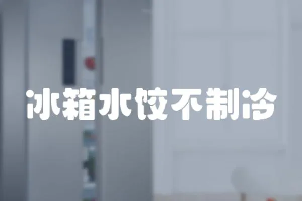 冰箱水餃不制冷