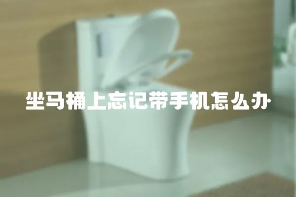 坐馬桶上忘記帶手機怎么辦