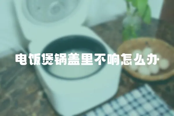 電飯煲鍋蓋里不響怎么辦