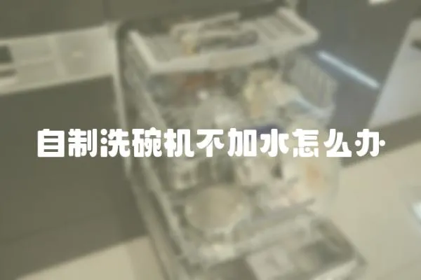 自制洗碗機不加水怎么辦