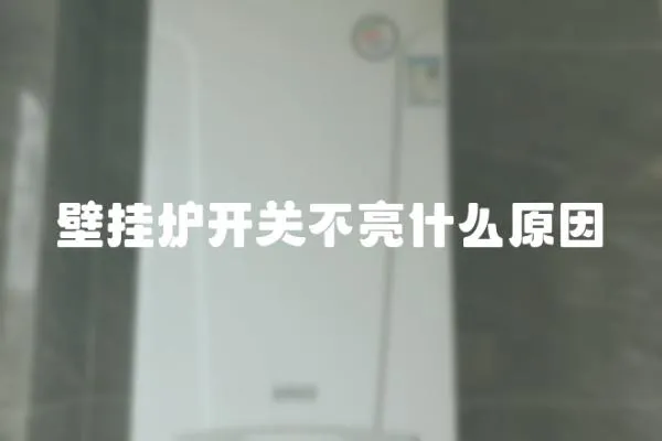 壁掛爐開關(guān)不亮什么原因