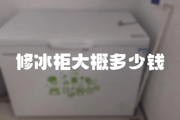 修冰柜大概多少錢