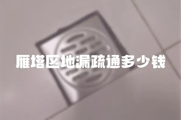雁塔區地漏疏通多少錢