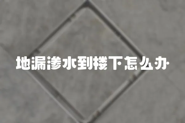 地漏滲水到樓下怎么辦