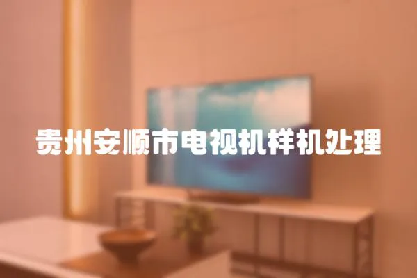 貴州安順市電視機樣機處理