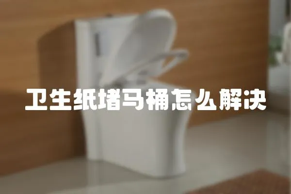 衛生紙堵馬桶怎么解決