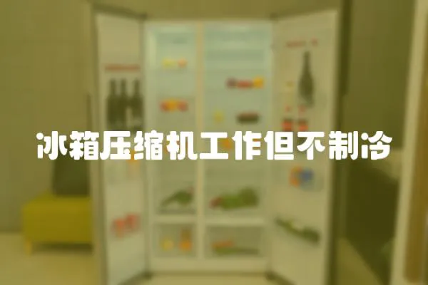 冰箱壓縮機工作但不制冷