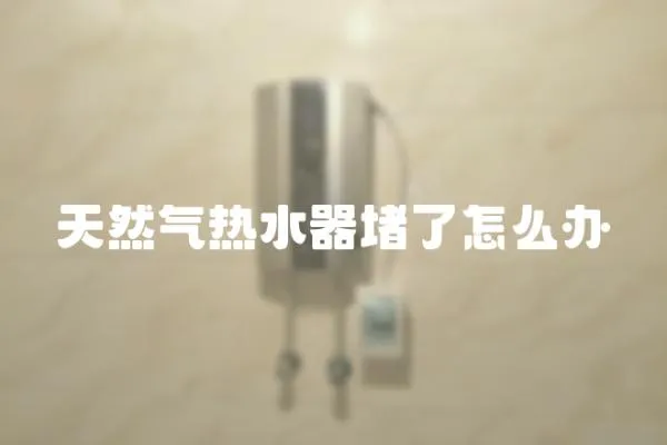 天然氣熱水器堵了怎么辦