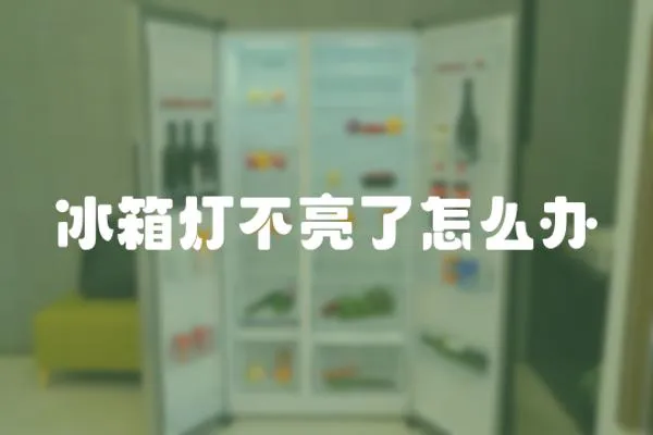 冰箱燈不亮了怎么辦