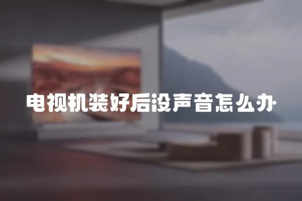 電視機裝好后沒聲音怎么辦