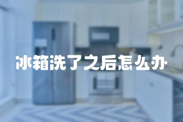 冰箱洗了之后怎么辦