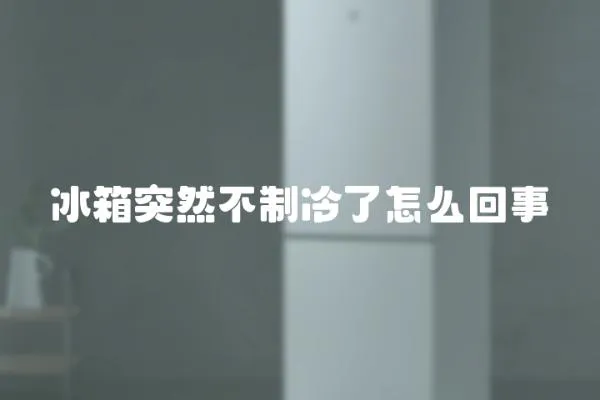 冰箱突然不制冷了怎么回事