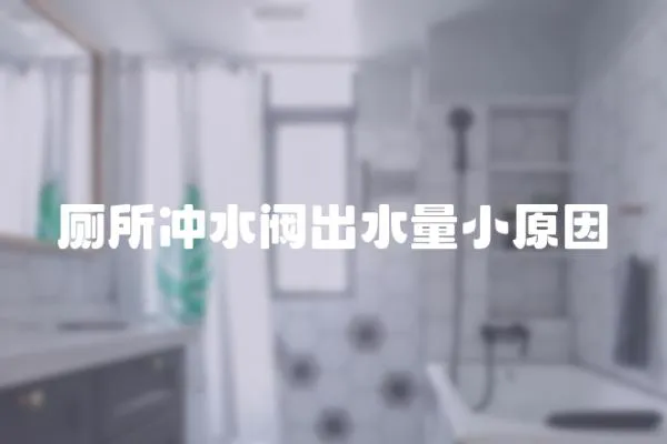 廁所沖水閥出水量小原因