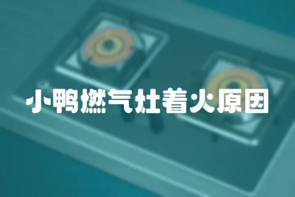 小鴨燃氣灶著火原因
