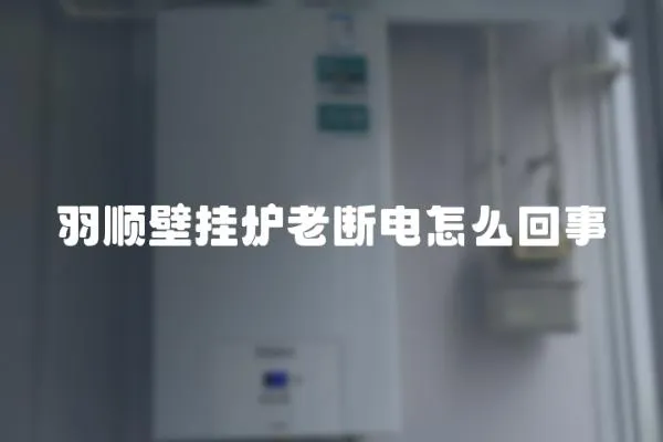 羽順壁掛爐老斷電怎么回事