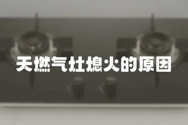 天燃?xì)庠钕ɑ鸬脑?></a></div>
                    <div   id=