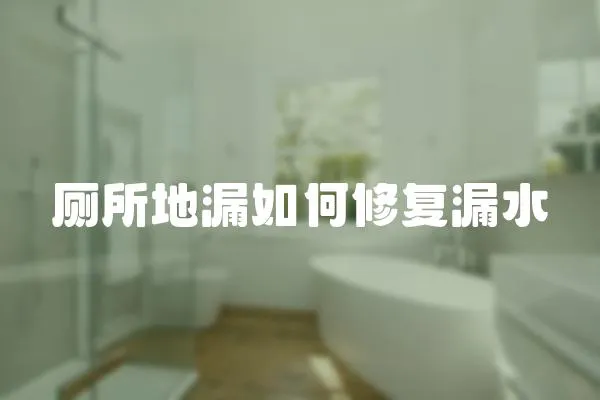 廁所地漏如何修復(fù)漏水