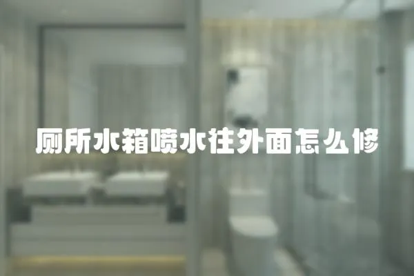 廁所水箱噴水往外面怎么修