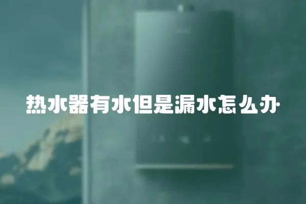 熱水器有水但是漏水怎么辦