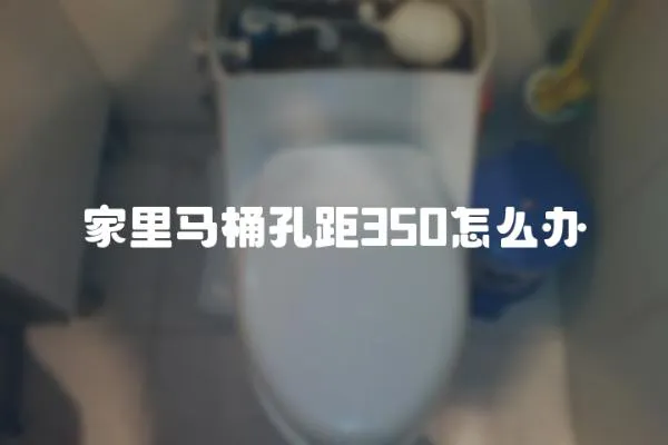 家里馬桶孔距350怎么辦