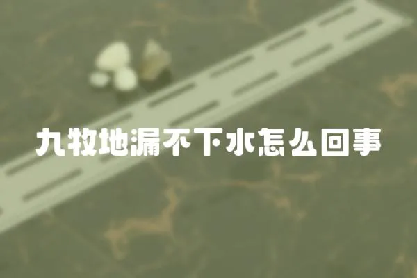 九牧地漏不下水怎么回事