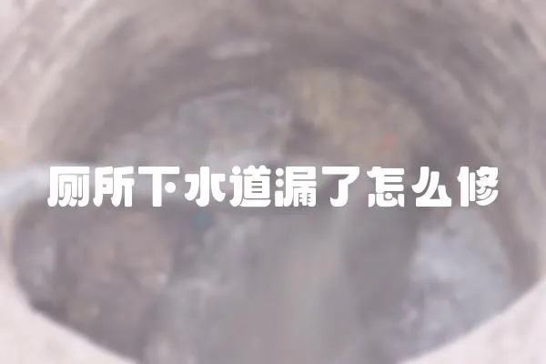 廁所下水道漏了怎么修