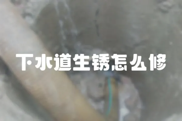 下水道生銹怎么修