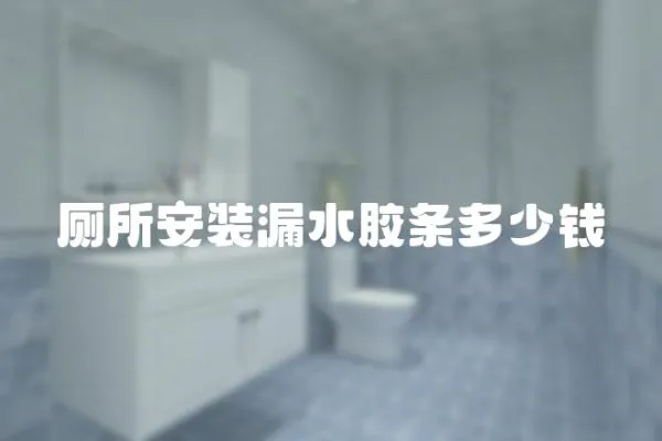 廁所安裝漏水膠條多少錢