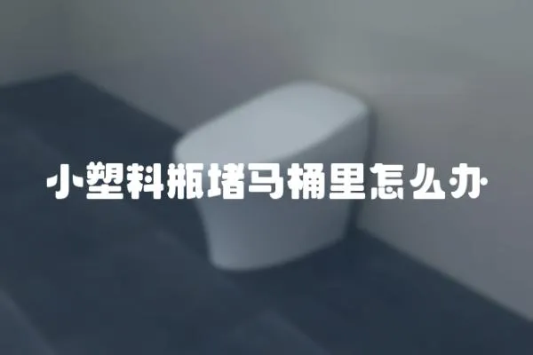 小塑料瓶堵馬桶里怎么辦