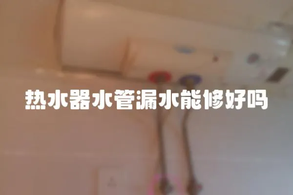 热水器水管漏水能修好吗