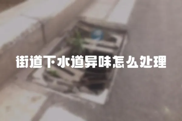 街道下水道異味怎么處理