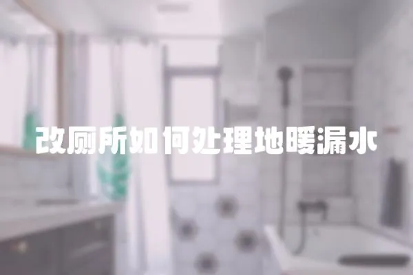 改廁所如何處理地暖漏水