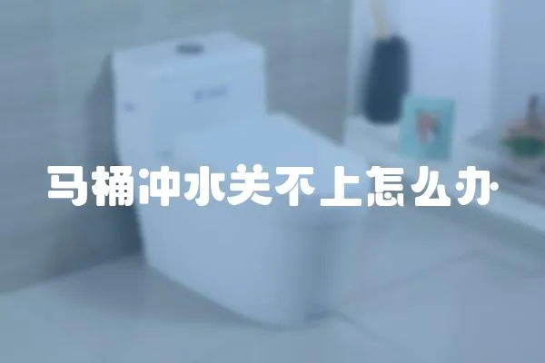 馬桶沖水關不上怎么辦