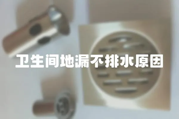 衛生間地漏不排水原因