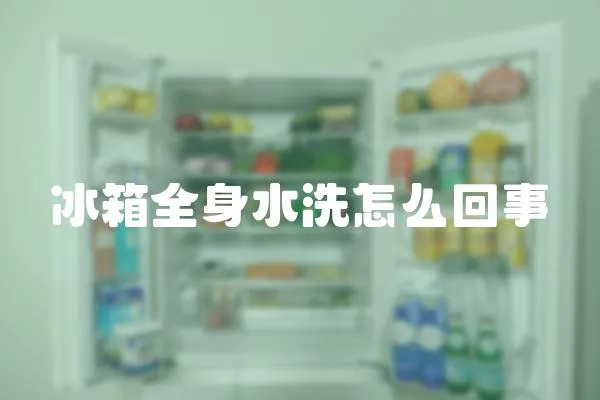 冰箱全身水洗怎么回事