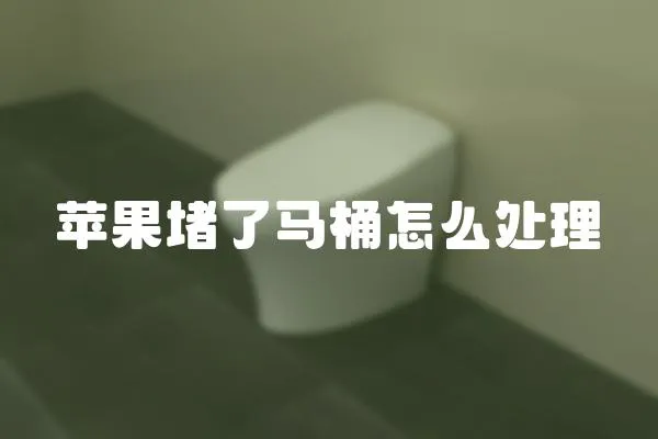 苹果堵了马桶怎么处理