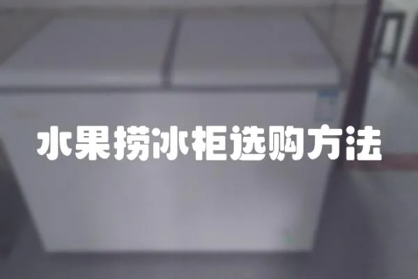 水果撈冰柜選購方法