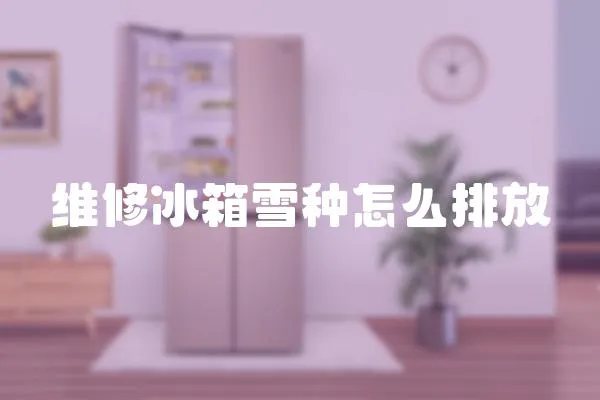 維修冰箱雪種怎么排放